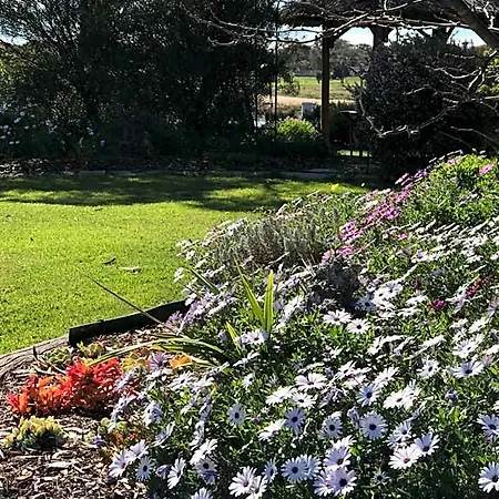 Yellow Gum Bed And Breakfast-3